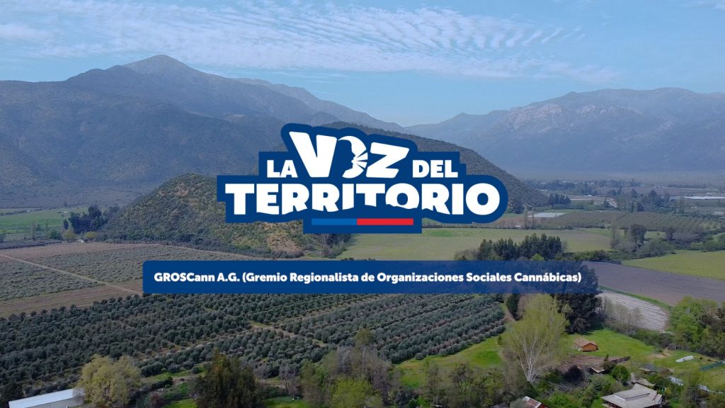 GROSCann y cannabis medicinal en Chile: Historia y misión