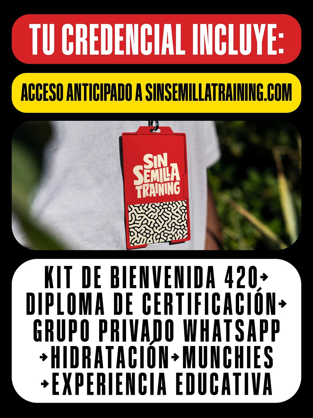 Presentación en SinSemilla Training